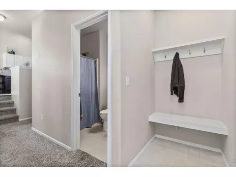 901 Ashbrook Dr, Windsor, CO 80550 photo 18