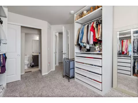 901 Ashbrook Dr, Windsor, CO 80550 photo 24