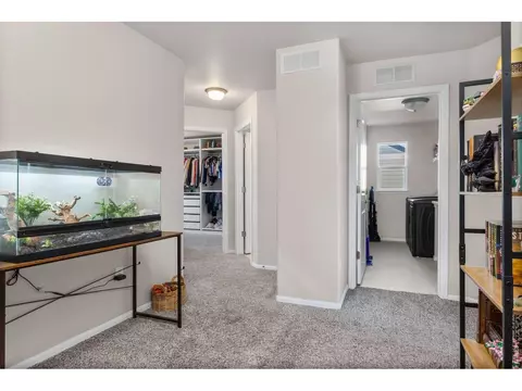 901 Ashbrook Dr, Windsor, CO 80550 photo 32