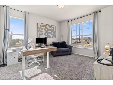 901 Ashbrook Dr, Windsor, CO 80550 photo 5
