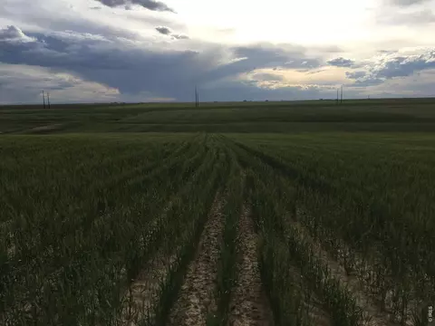 8551 Flint Ridge St, Bennett, CO 80102 photo 4