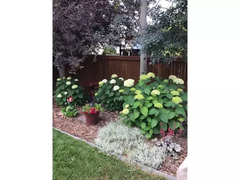 625 Torreys Peak Ln, Berthoud, CO 80513 photo 37