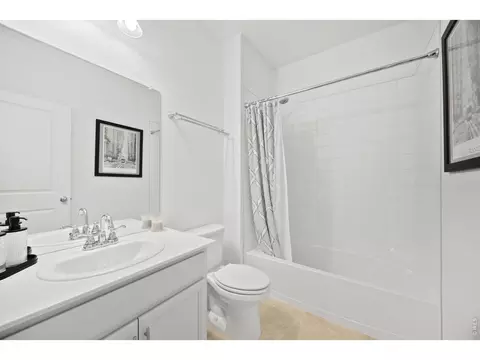 Bath - 1776 Branching Canopy Dr, Windsor, CO 80550 photo 1 of 3