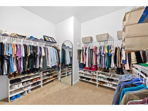 Other - 1776 Branching Canopy Dr, Windsor, CO 80550 photo 3 of 4