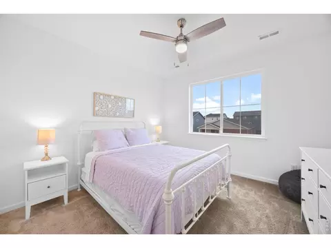 Bedroom - 1776 Branching Canopy Dr, Windsor, CO 80550 photo 4 of 9