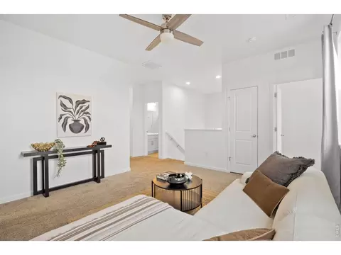 Living - 1776 Branching Canopy Dr, Windsor, CO 80550 photo 5 of 5