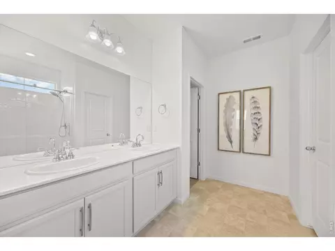 Bath - 1776 Branching Canopy Dr, Windsor, CO 80550 photo 2 of 3