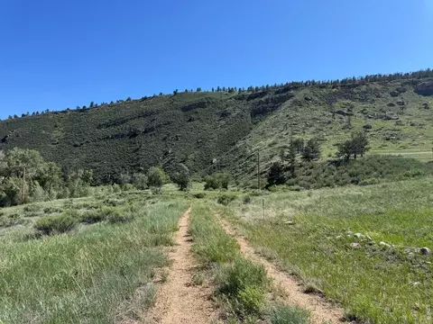 1114 1115 Vision Way, Lyons, CO 80540 photo 15