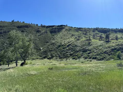 1114 1115 Vision Way, Lyons, CO 80540 photo 11