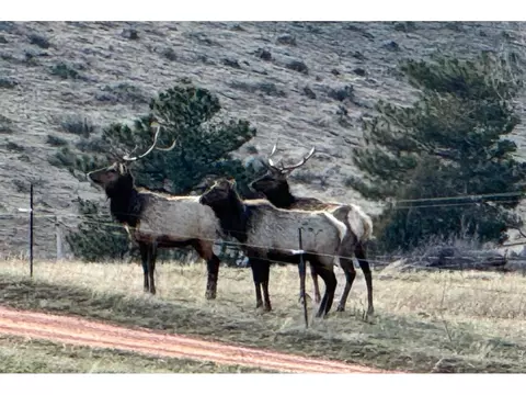 1114 1115 Vision Way, Lyons, CO 80540 photo 9