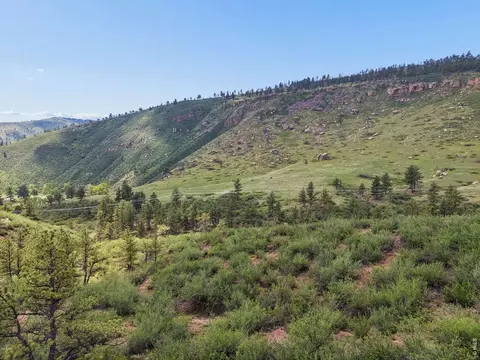 1114 1115 Vision Way, Lyons, CO 80540 photo 21
