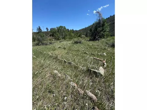 1114 1115 Vision Way, Lyons, CO 80540 photo 16