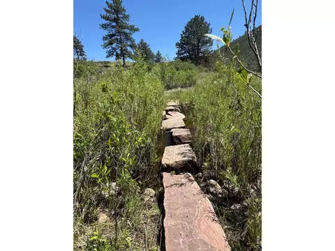 1114 1115 Vision Way, Lyons, CO 80540 photo 19