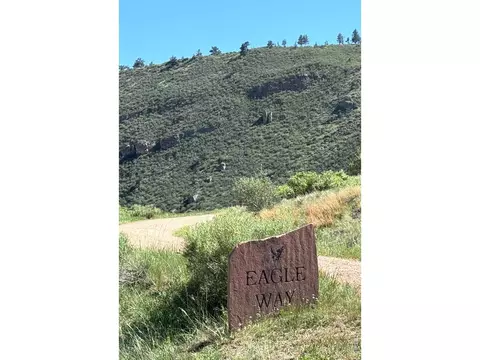 1114 1115 Vision Way, Lyons, CO 80540 photo 3