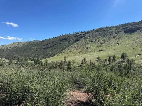 1114 1115 Vision Way, Lyons, CO 80540 photo 9