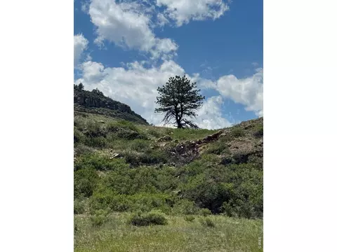 1114 1115 Vision Way, Lyons, CO 80540 photo 18