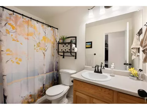 Bath - 970 Greenbrook Dr, Windsor, CO 80550 photo 2 of 2