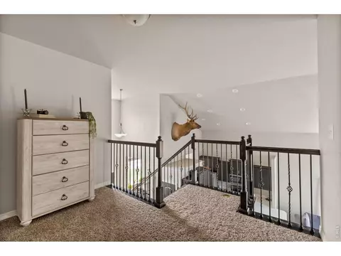 Entry Way - 865 Emerald Lakes St, Windsor, CO 80550 photo 2 of 2