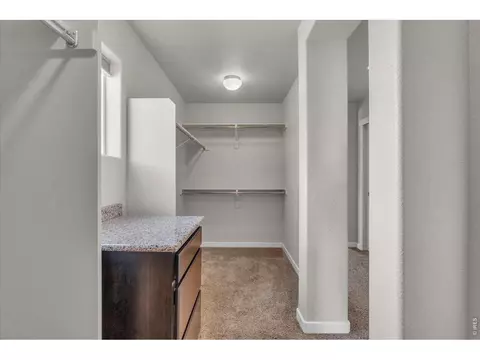 1182 Bowen Pass St, Windsor, CO 80550 photo 21