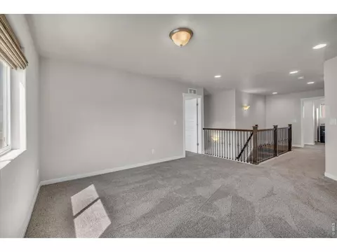 1182 Bowen Pass St, Windsor, CO 80550 photo 22