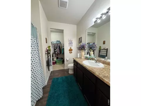 Other - 2865 Big Thunder Rd, Berthoud, CO 80513 photo 7 of 8