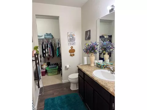Other - 2865 Big Thunder Rd, Berthoud, CO 80513 photo 6 of 8