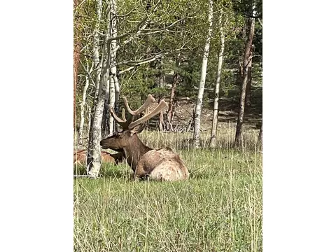 1565 Highway 66 # 31, Estes Park, CO 80517