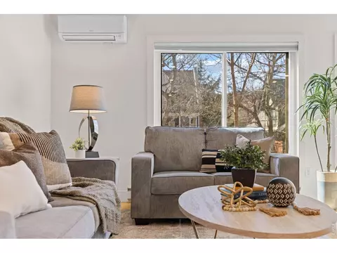 Living - 827 Maxwell Ave #E, Boulder, CO 80304 photo 6 of 8
