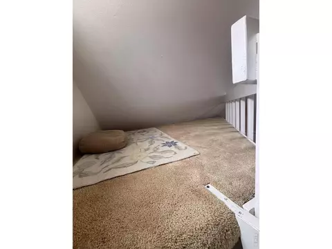 1412 Elder Ave, Boulder, CO 80304 photo 22