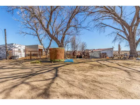 16524 County Road 3, Wiggins, CO 80654 photo 30