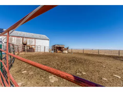 16524 County Road 3, Wiggins, CO 80654 photo 29
