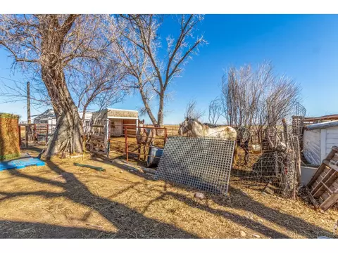 16524 County Road 3, Wiggins, CO 80654 photo 31