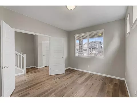 Other - 2145 Longfin Dr, Windsor, CO 80550 photo 2 of 9