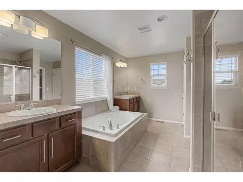 Bath - 2145 Longfin Dr, Windsor, CO 80550 photo 3 of 5