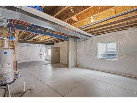 Other - 2145 Longfin Dr, Windsor, CO 80550 photo 8 of 9