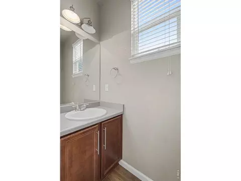 Bath - 2145 Longfin Dr, Windsor, CO 80550 photo 1 of 5