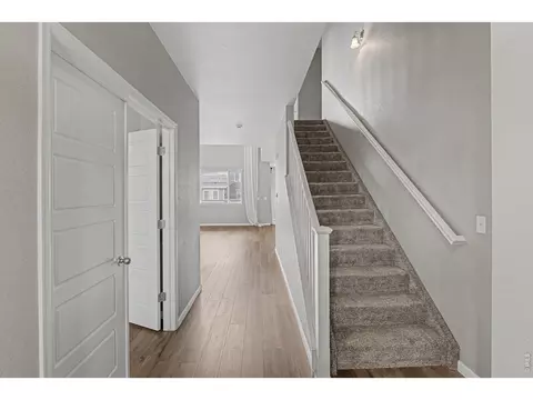 Entry Way - 2145 Longfin Dr, Windsor, CO 80550 photo 1 of 3