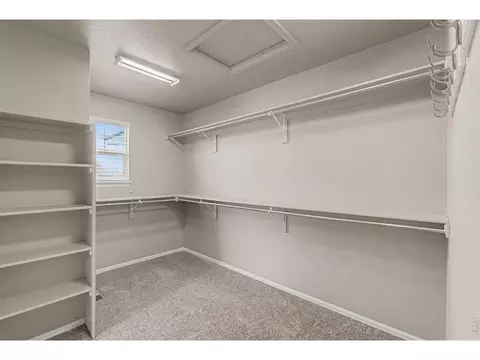 Other - 2145 Longfin Dr, Windsor, CO 80550 photo 6 of 9