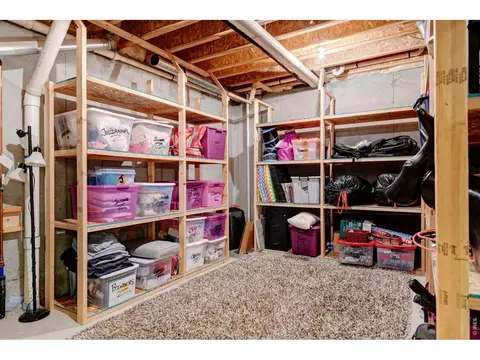 Other - 6940 Summerwind Ct, Timnath, CO 80547 photo 6 of 8