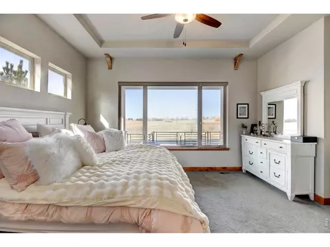 Bedroom - 6940 Summerwind Ct, Timnath, CO 80547 photo 2 of 5