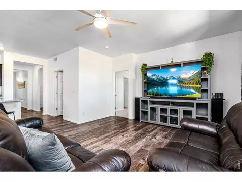 Living - 1668 Gratton Ct, Windsor, CO 80550 photo 4 of 4