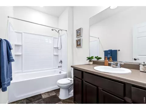 Bath - 1668 Gratton Ct, Windsor, CO 80550 photo 2 of 2