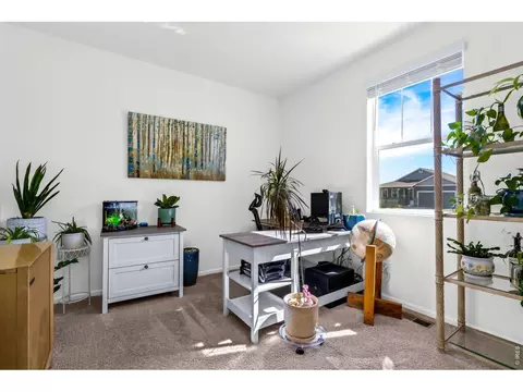 Other - 1668 Gratton Ct, Windsor, CO 80550 photo 3 of 7