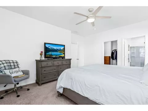 Bedroom - 1668 Gratton Ct, Windsor, CO 80550 photo 4 of 6