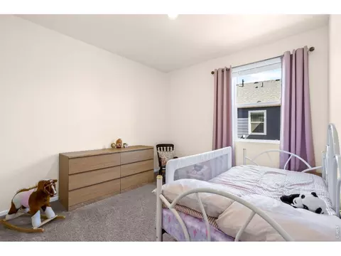 Bedroom - 1668 Gratton Ct, Windsor, CO 80550 photo 6 of 6