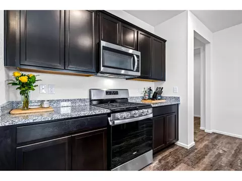 Kitchen - 1668 Gratton Ct, Windsor, CO 80550 photo 5 of 6