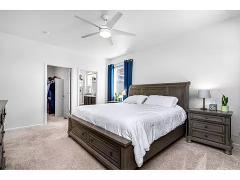 Bedroom - 1668 Gratton Ct, Windsor, CO 80550 photo 2 of 6