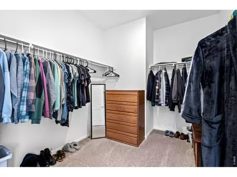 Other - 1668 Gratton Ct, Windsor, CO 80550 photo 2 of 7