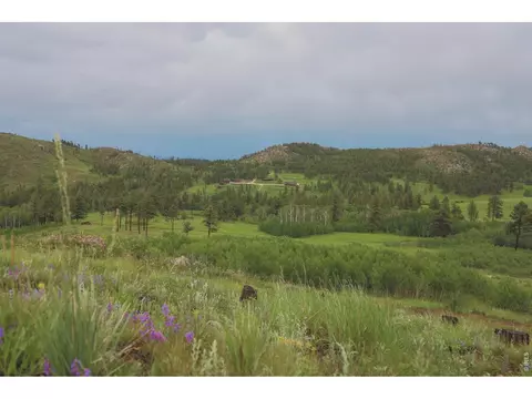 14884 Rist Canyon Rd, Bellvue, CO 80512