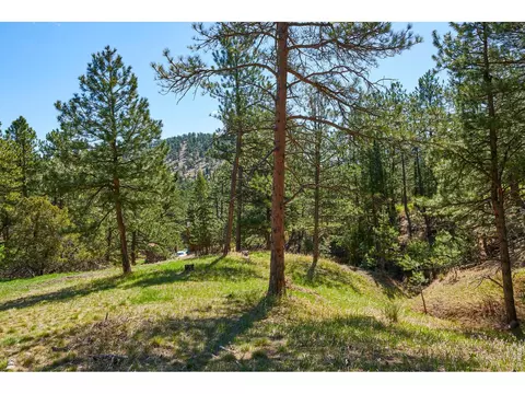 485 Kelly Rd, Boulder, CO 80302 photo 10